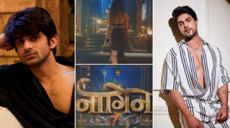 Naagin 7 Cast: Abhishek Kumar Approached To Play Naag With Ankit Gupta? 